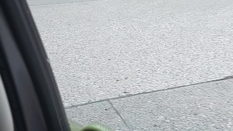 Snake Takes a Joy Ride