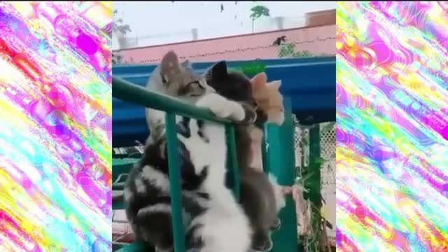 She found it hilariously funny.