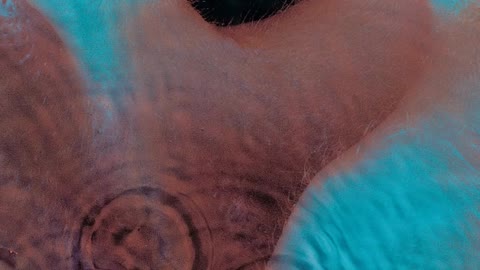 Pink Floyd Echoes