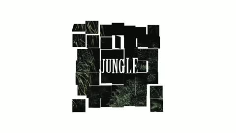 Norimaki - Jungle