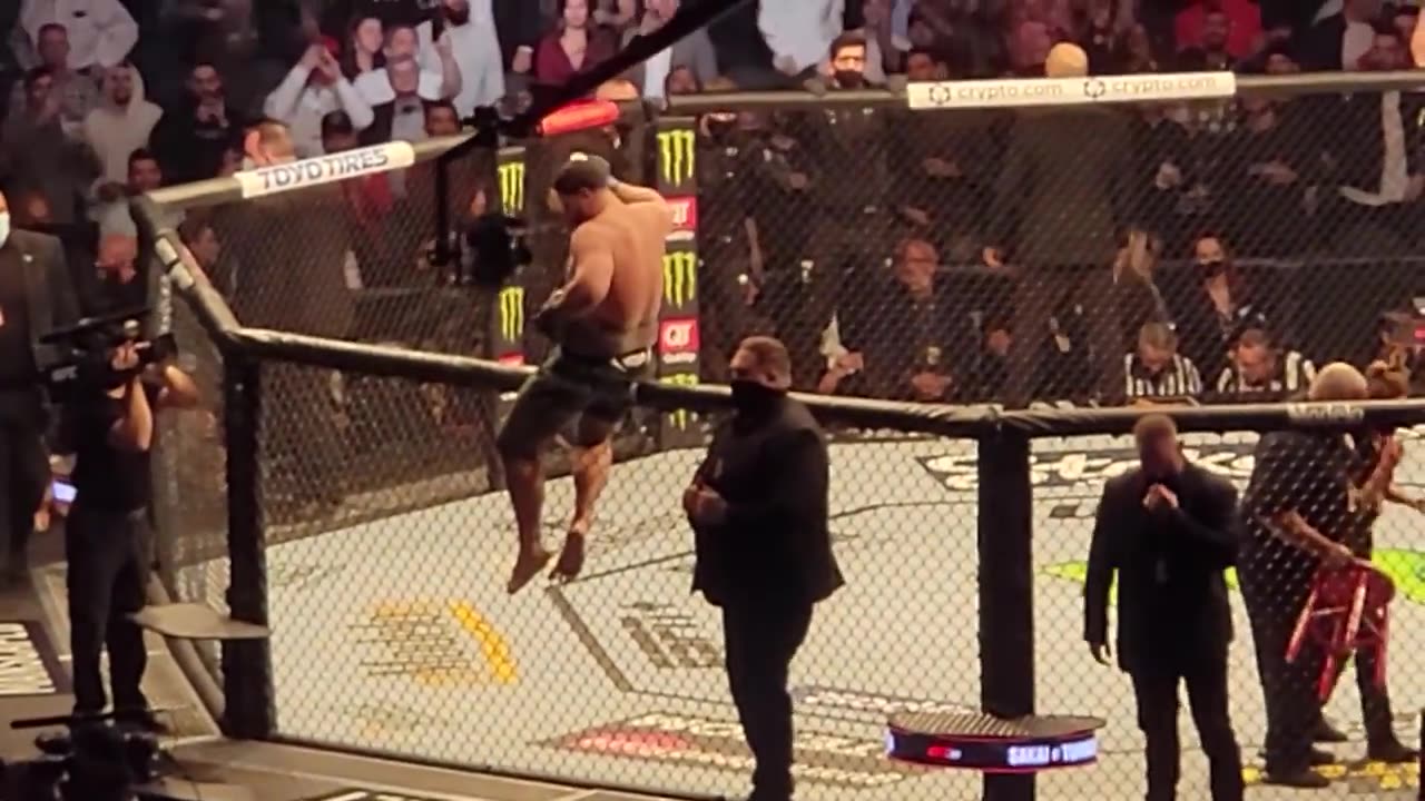 Tai Tuivasa KO & SHOEY UFC 269