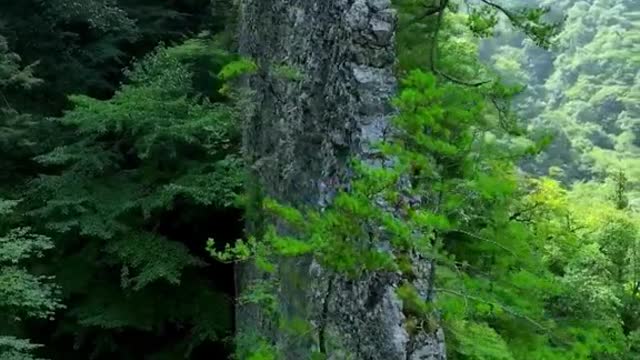 🏞️ #mountain #scenery #nature #trending