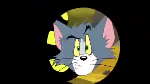 tom and jerry special episode