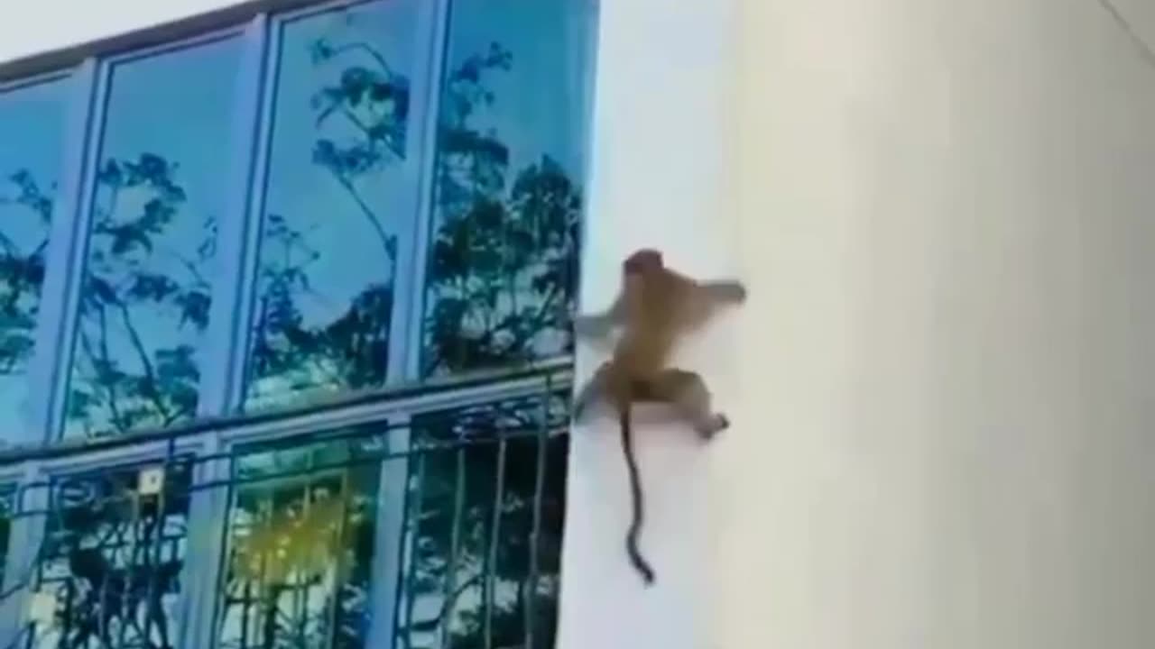 Mission: impossible 7