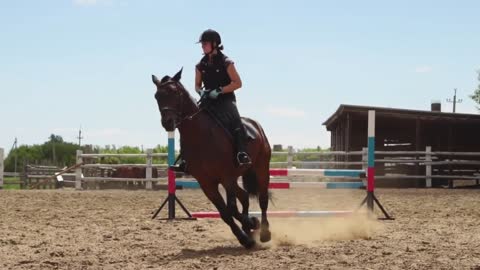 Horse woman jumps through the barrier on horseback