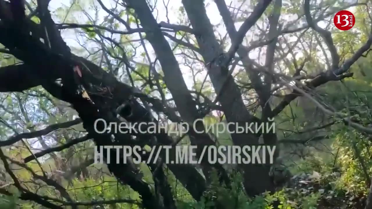 "Kill all of them, no survivors" - Attacking Russian position in forest with armored vehicles