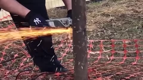 Husband Cuts Pole to Save Bird