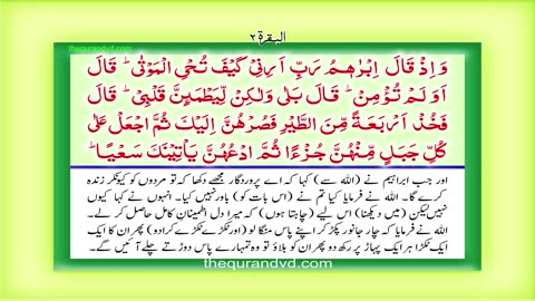 Holy Quran-Para 3 - Juz 3 Tilka -r-rusul HD Quran Urdu Hindi Translation