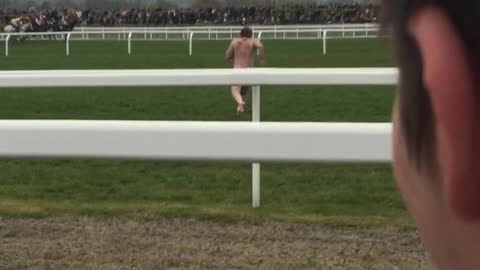 Streaker runs onto field during Cheltenham Gold Cup!