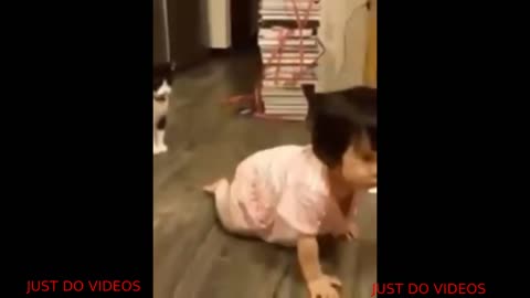 Whatsapp funny video