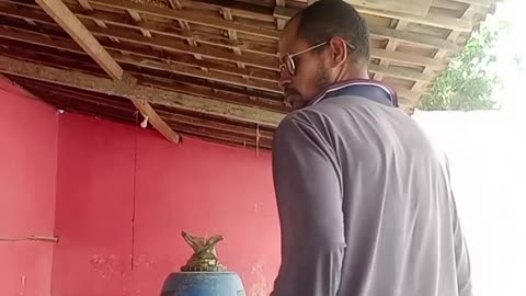 Não falem da minha calça rasgada