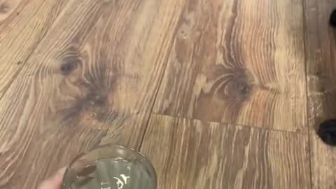 This cat has its own funny ritual before drinking water