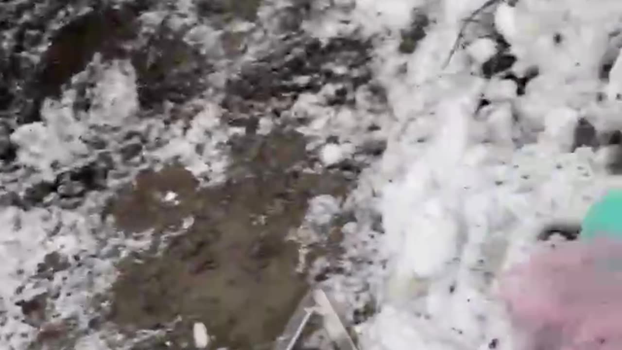 Ukrainians Medivac the Injured