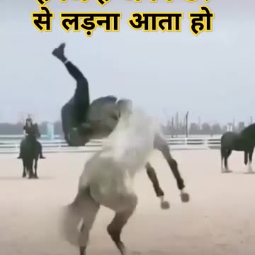 Regardez ce video techniques 003