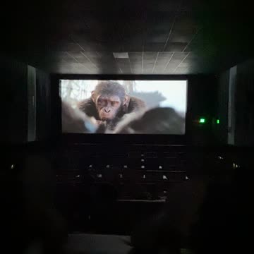 Kingdom Of The Planet Of The Apes 🦍🌎