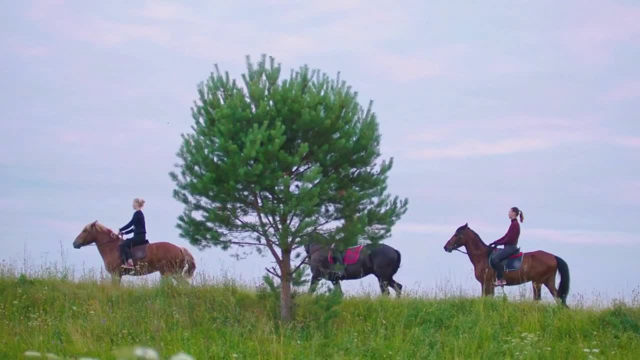 Riders on horseback passing by the summer field