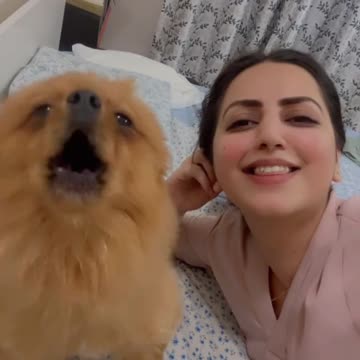 Funny moments with my preety lovely laddo puppy ❤️