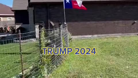 TRUMP 2024