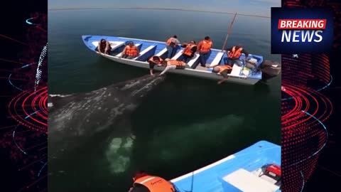 Tourists were surprised. The reason is _BREAKING NEWS