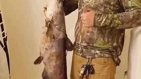 "Thats a Big ern' Aint It?!" Daily Dose of Fishing #shorts #youtubeshorts #fishing #catfish