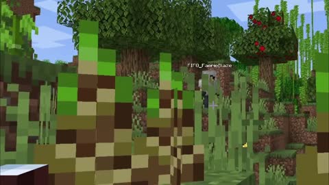 Minecraft Highlights