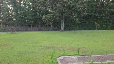 GSG Porch Report- 260523