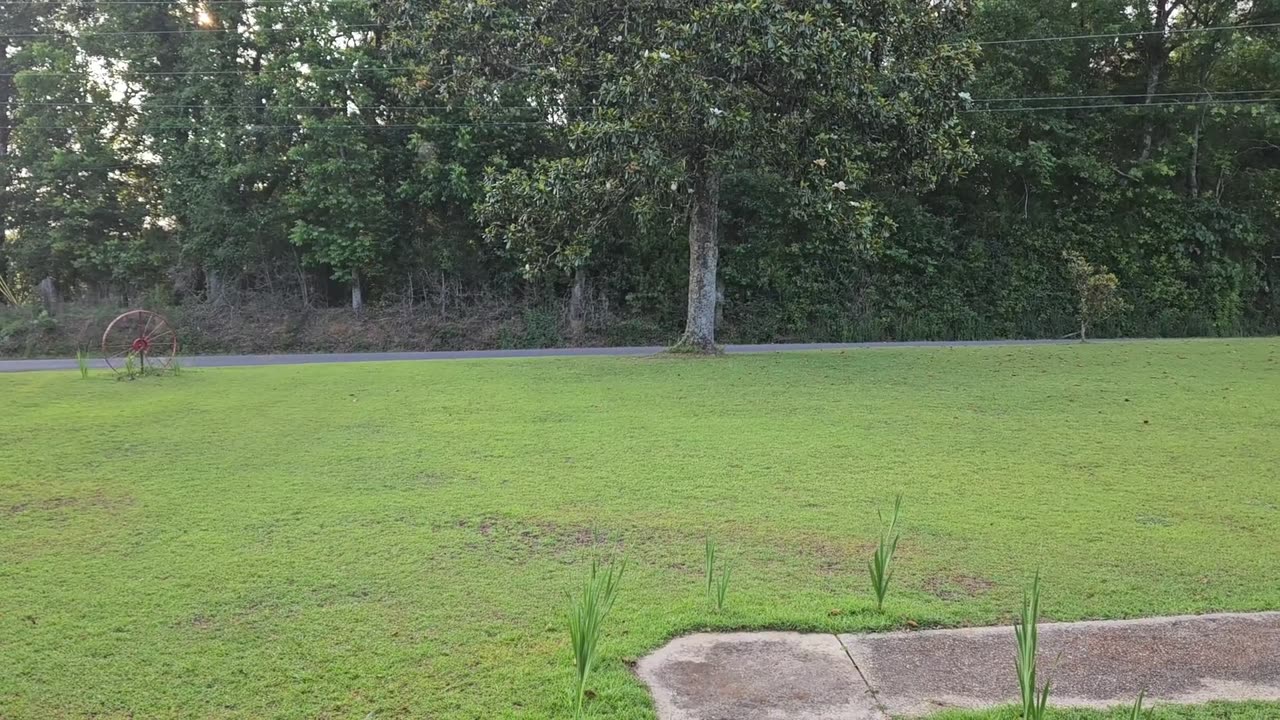 GSG Porch Report- 260523