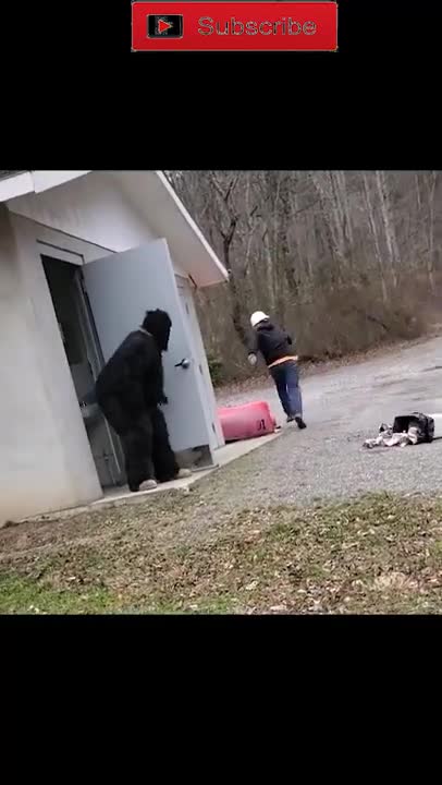 Best Funny Video Clips #shorts (102)