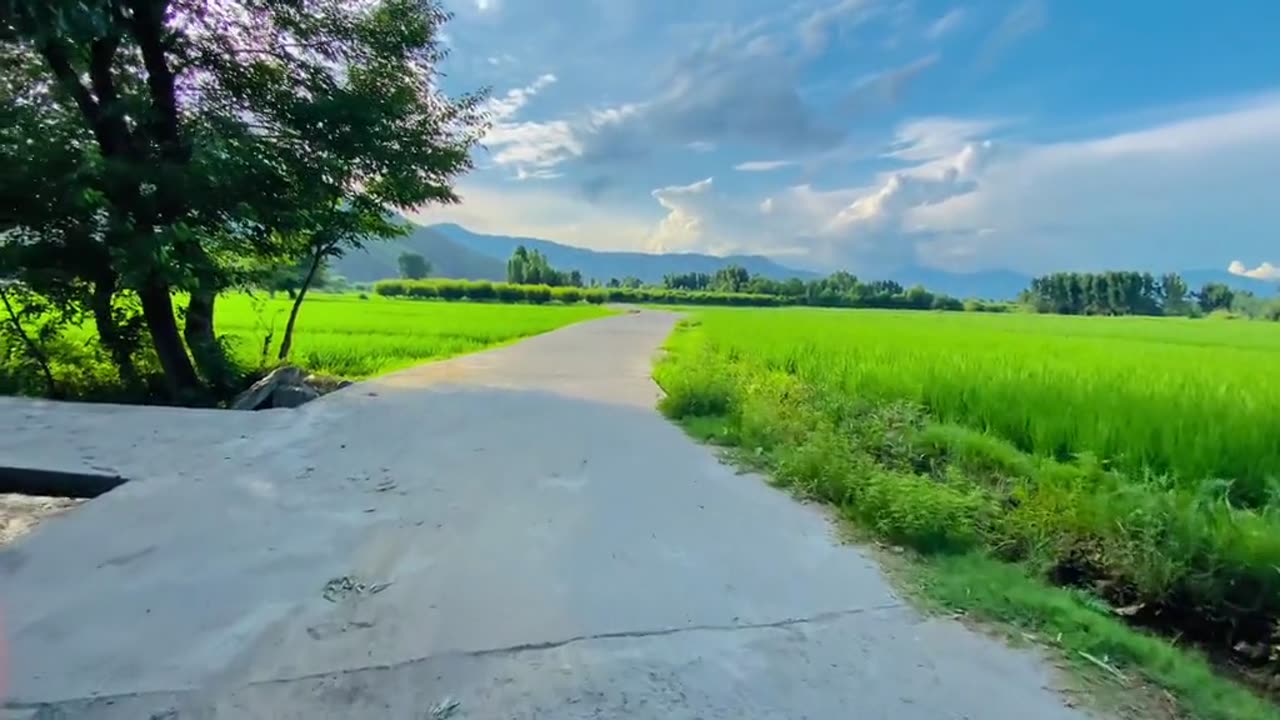 Beautiful view green village @BeautyOfNature