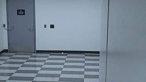 6057RHOBG2G208LobbySouth_2021-01-05_01h40min00s720ms.mp4