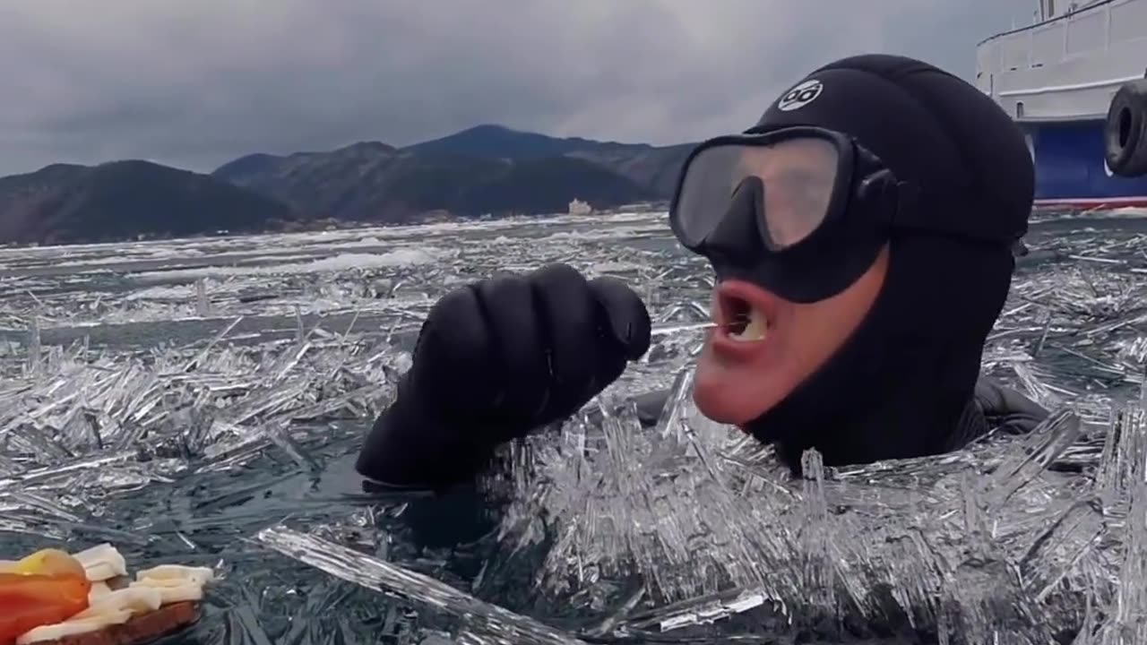 Swimming at the coldest pole