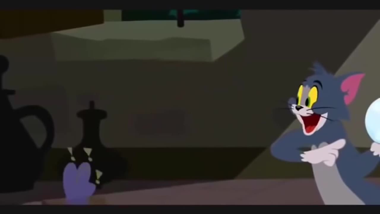 Tom and Jerry Cartoon