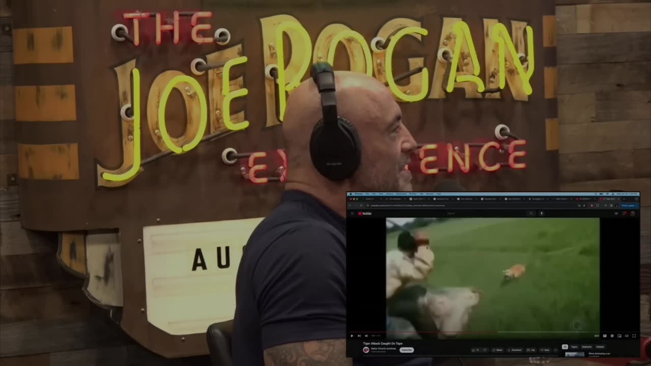 Joe Rogan 🔴 The Dark Ape Trafficking in Congo!