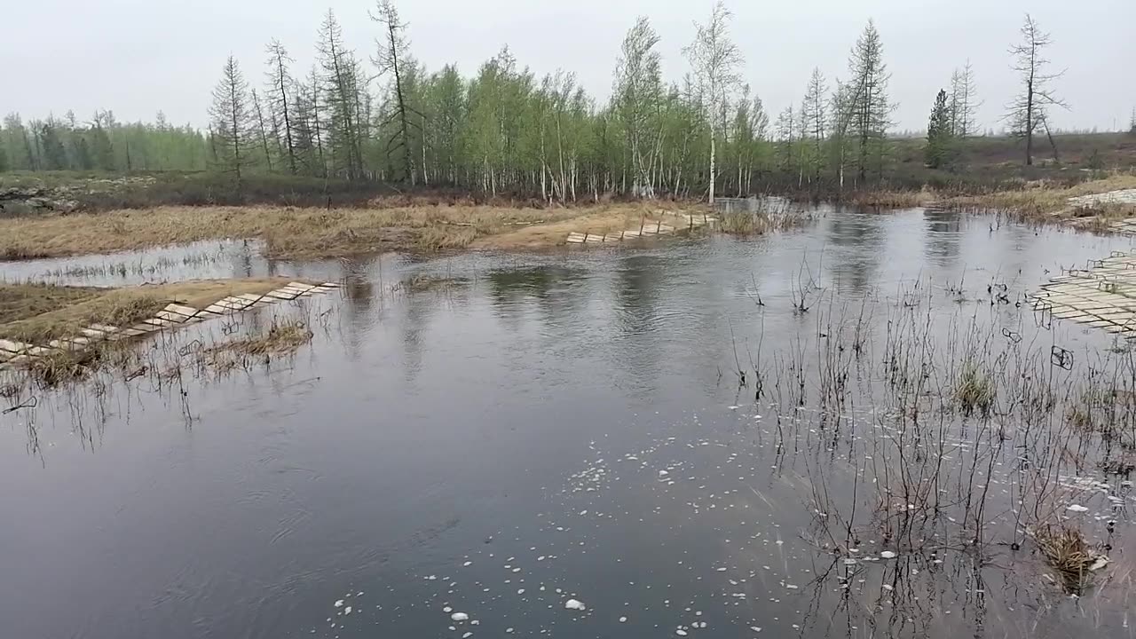 Nature of Novy Urengoy in Russia