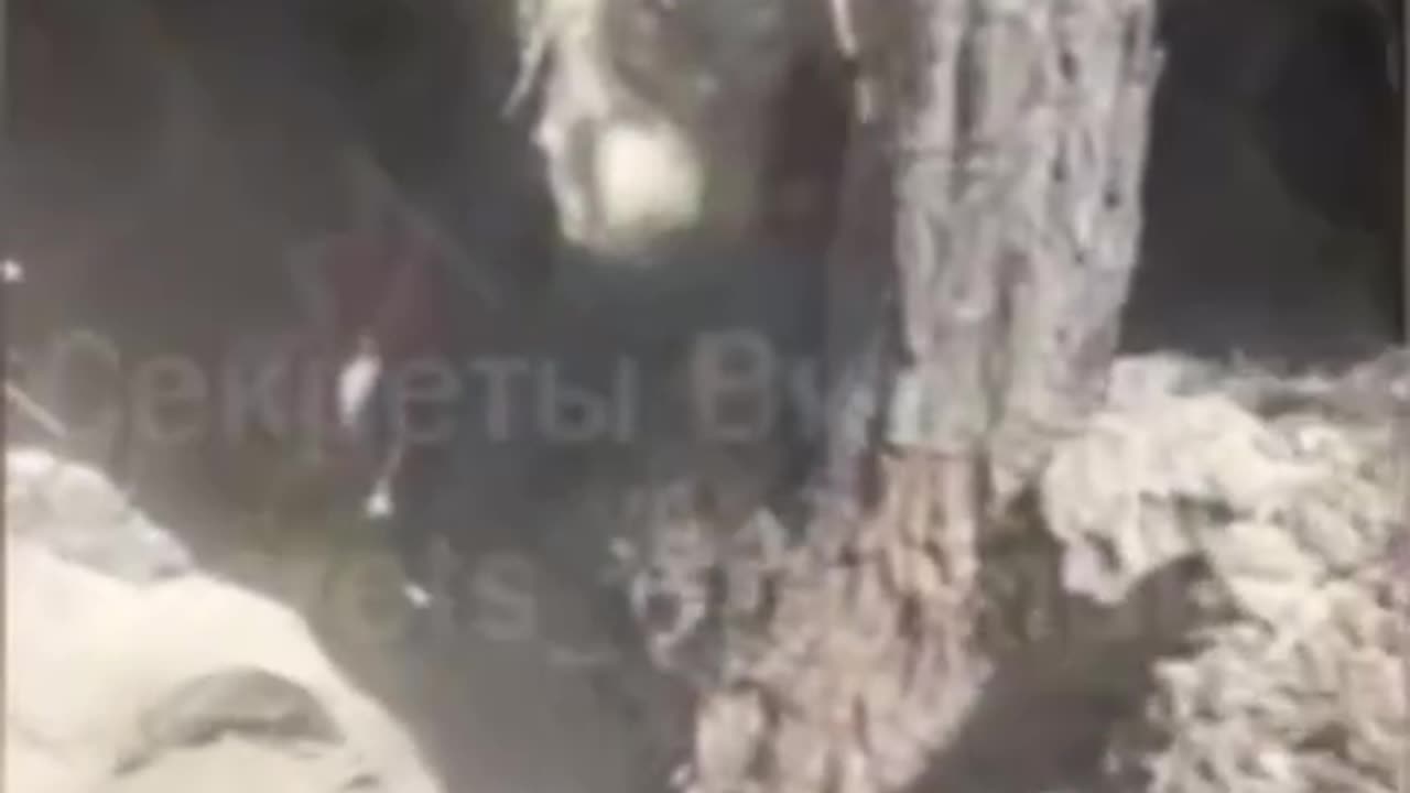First person shots. The assault on the Khokhlyat positions on Kharkovsky is aimed