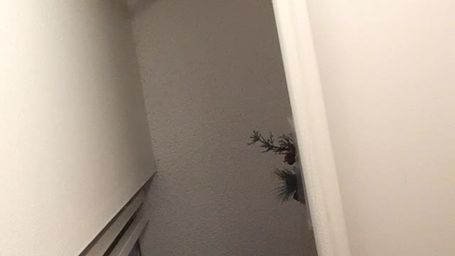 I have decided to follow Jesus