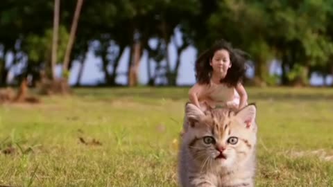 Cute cat fun with cute girl