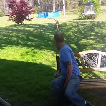 Dog Doesn't Recognize Owner After Weight Loss...Until He Sniffs Him | Funny Animal videos | HQ