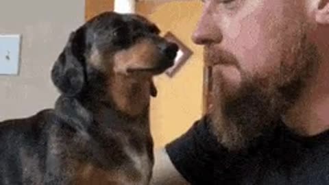 Watch this dog take a few seconds to process the love,🤩🤩😁🤗🤗😍😍😍🥰