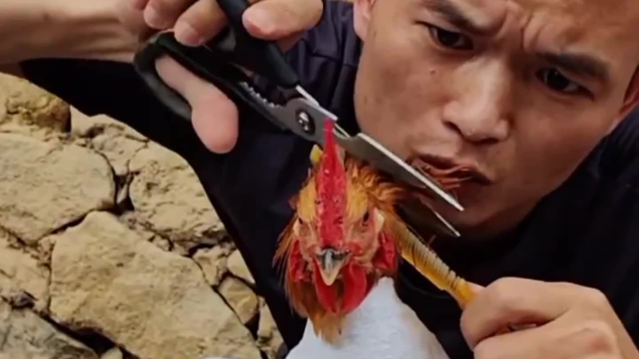 Give the chicken a nice haircut 😜 Chinese most funny video | #shorts #shortsvideo #野#outdoor