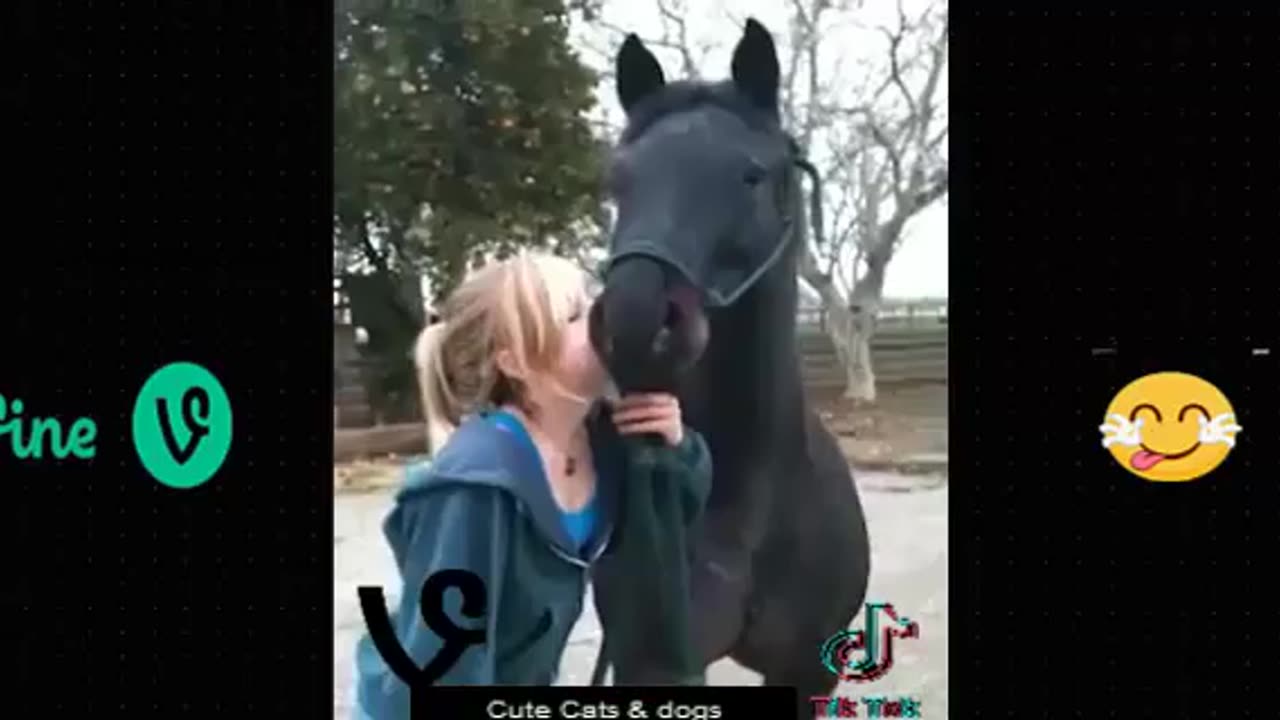 Best Funny Animal Videos Of The 2023 π€£ - Funniest Cats And Dogs Videos πΊπππΆ Funny cat & dog videos π