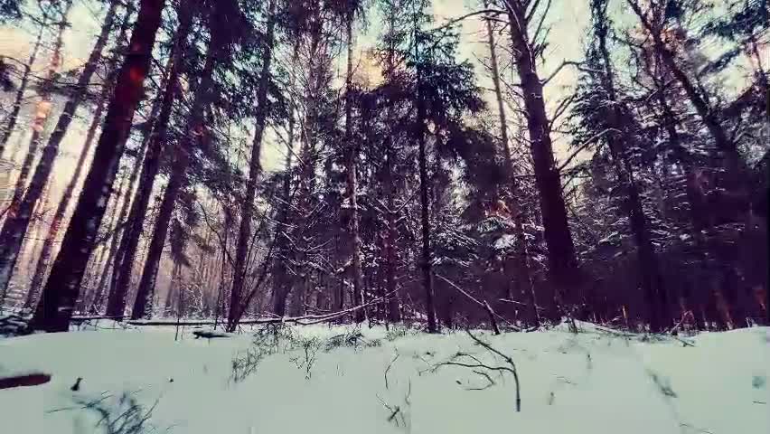 A VERY COLD PLACE