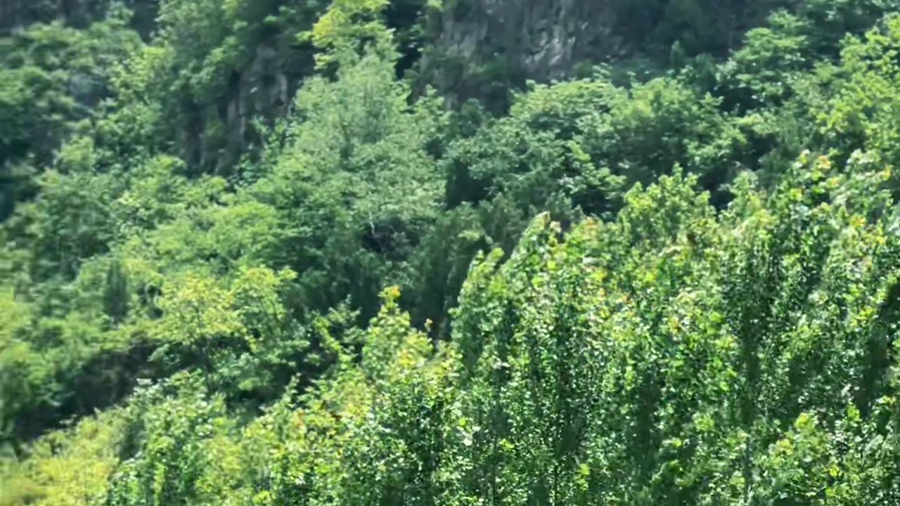 Just spend this summer leisurely amidst the scenic beauty of mountains and water.