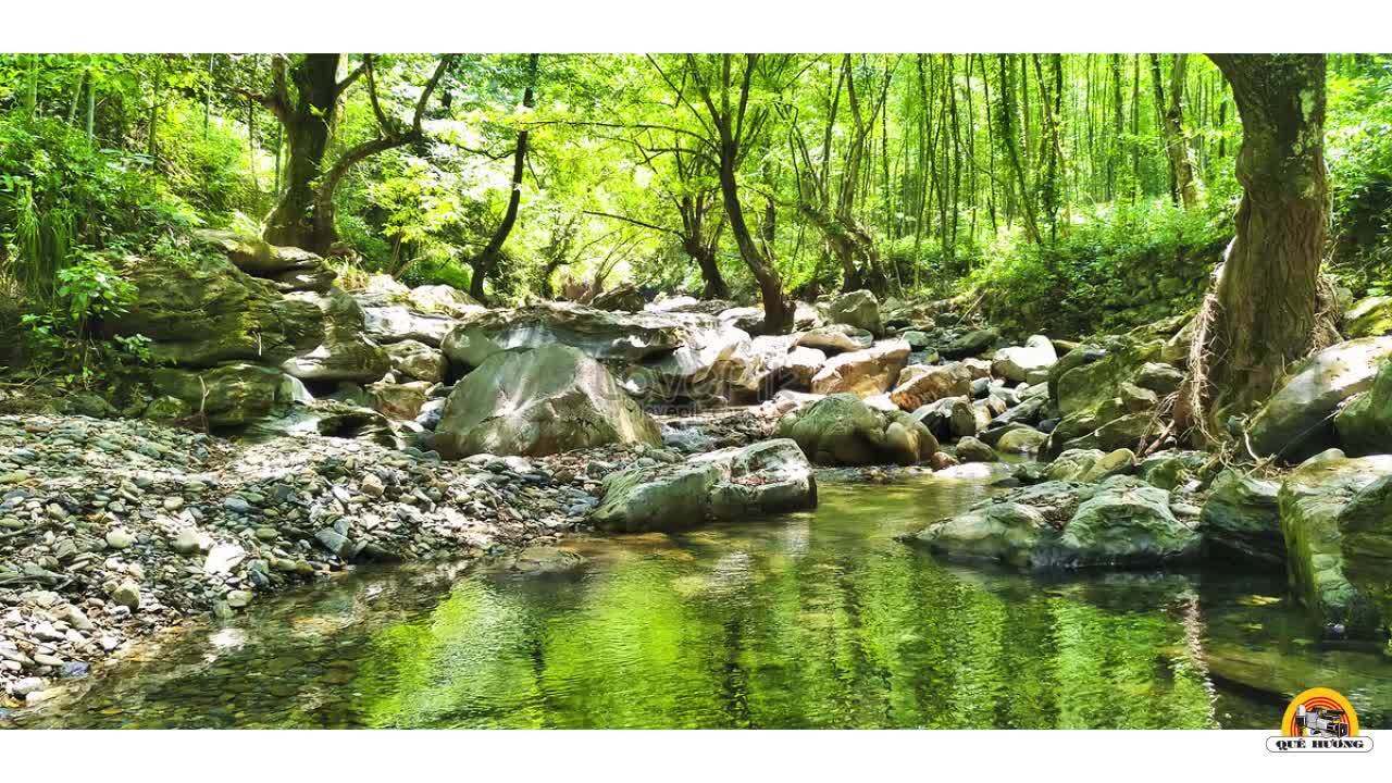 CCTS - Chiều Muộn & Cái Dáng Rất Buồn