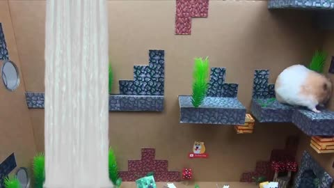 Hamster Escapes The Awesome Minecraft Maze With Underwater Obstacle Course8