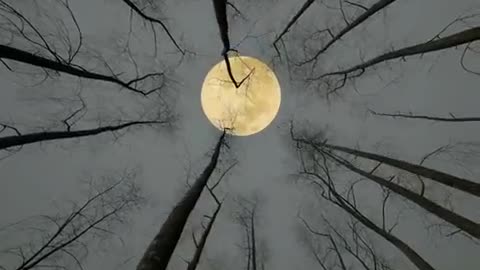 Beauty of Nature