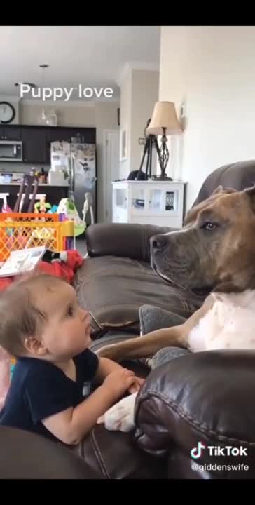 AWW Animals SOO Cute! Cute baby animals Videos Compilation Funniest and Cutest moment #shorts