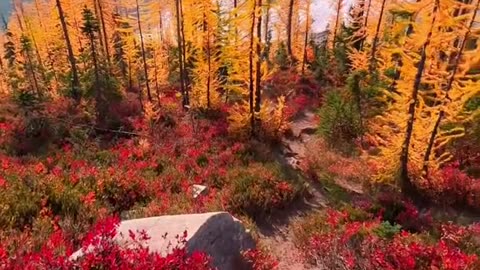 Beautiful autumn lakes in the Washington 🍁 This was easily one of the best views I’ve seen all year