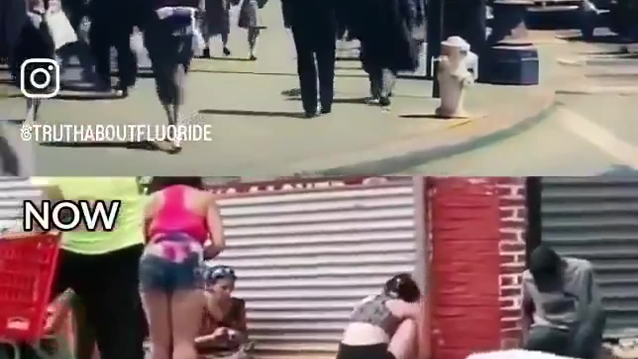This is the Society That Was Stolen from You