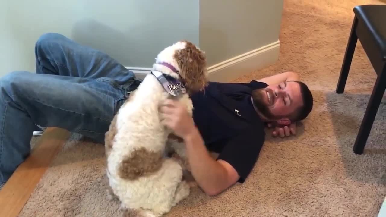 FUNNY DOG VIDEOS TO START YOUR 2021! Cute Funny Dogs 🐶
